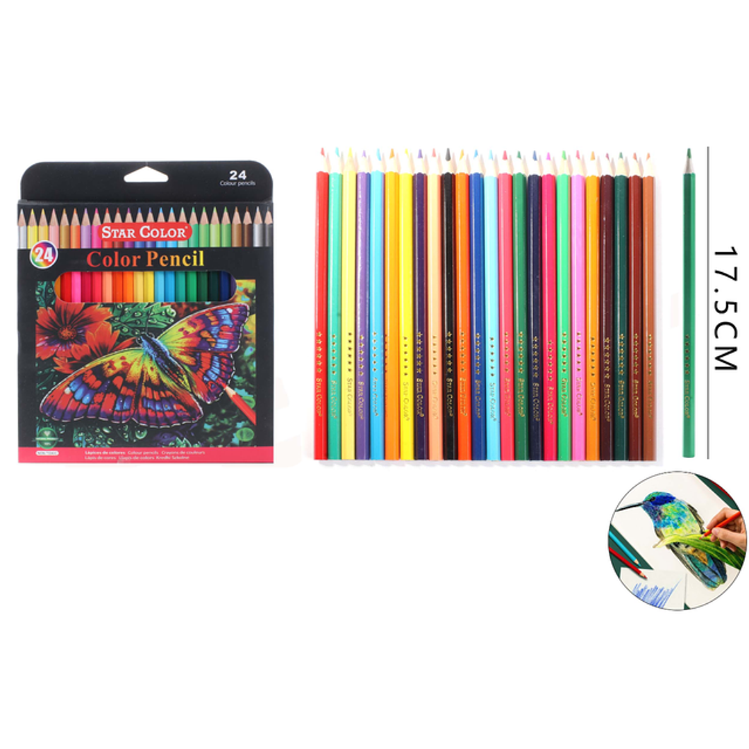 Lápices de Colores Mariposa 17.5cm 24pcs 1