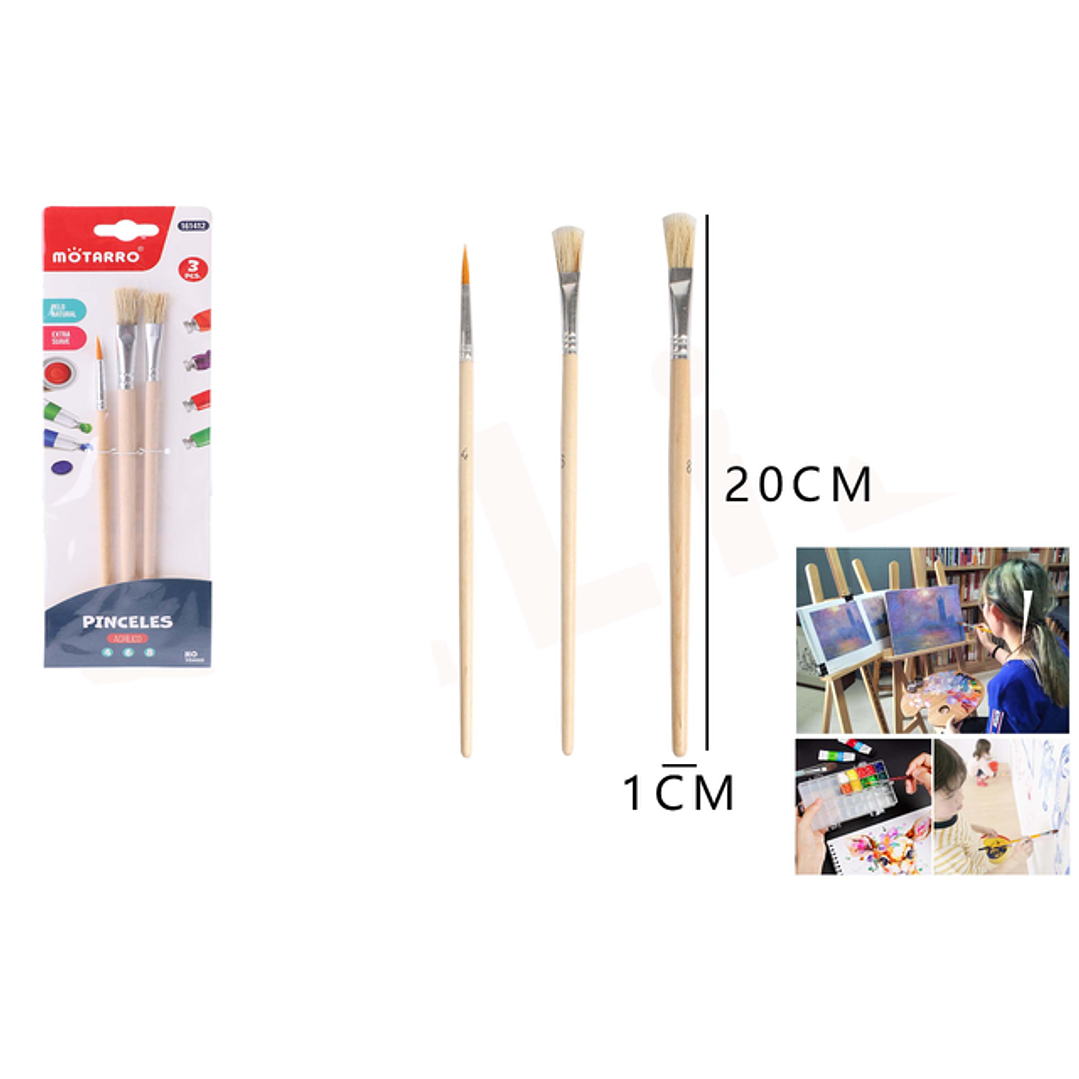 Set De Pinceles 2 Estilos 3Pcs 1