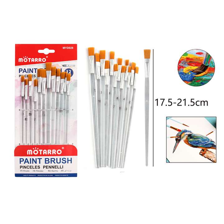 Pinceles Plano Trasparente 12Pcs 1