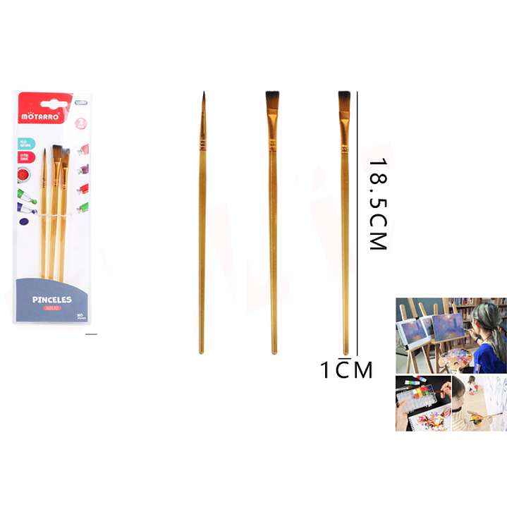 Set de pinceles 3pcs 1