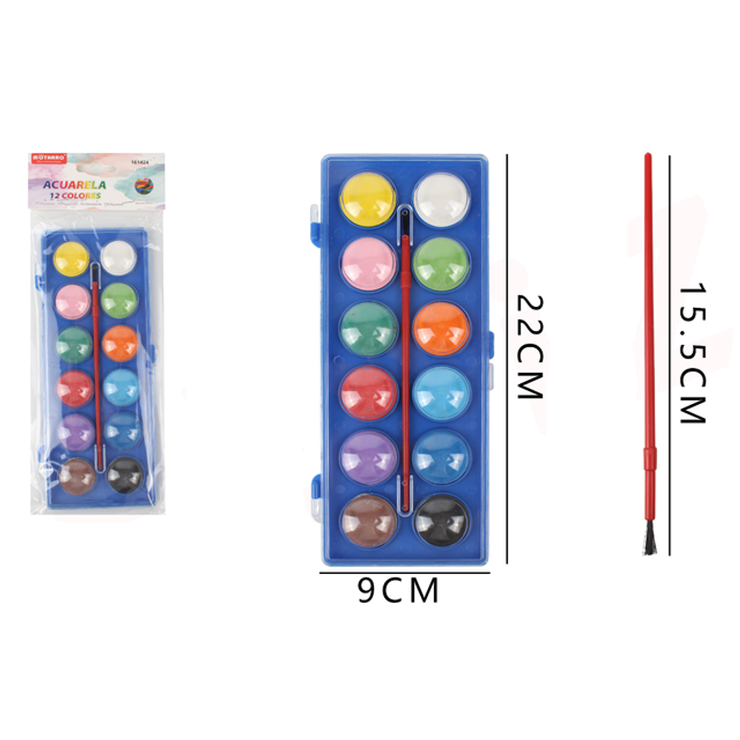 Pinturas acuarela en paleta 12colores 1
