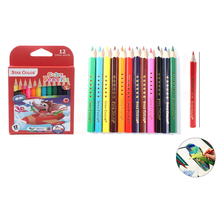 Lapices de colores 9cm 12pcs 1