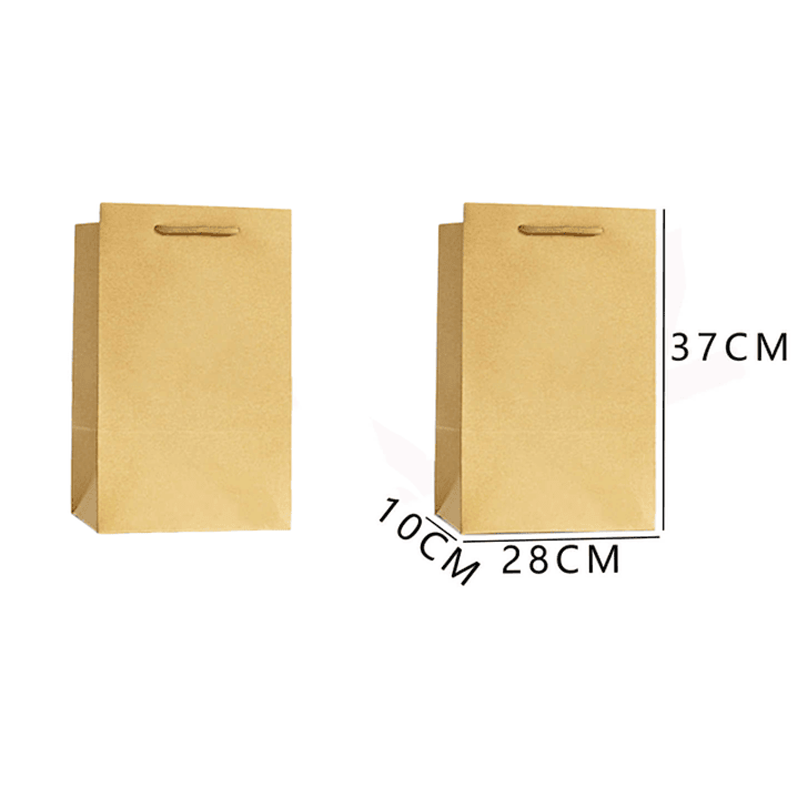 Bolsa De Regalo Xl 37*28*10Cm 1