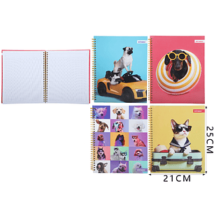 Cuaderno Matematica Motarro Mascotas 25X21Cm