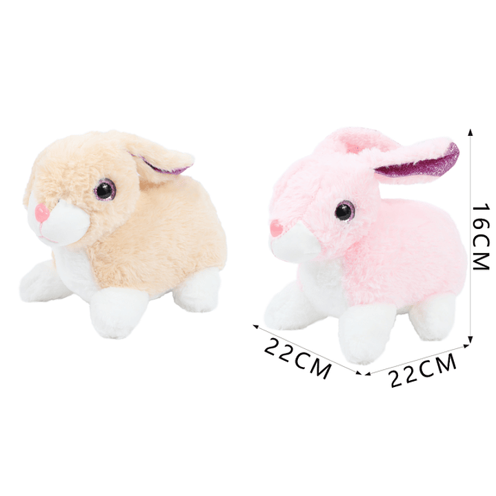 Peluche Conejo 20Cm 1