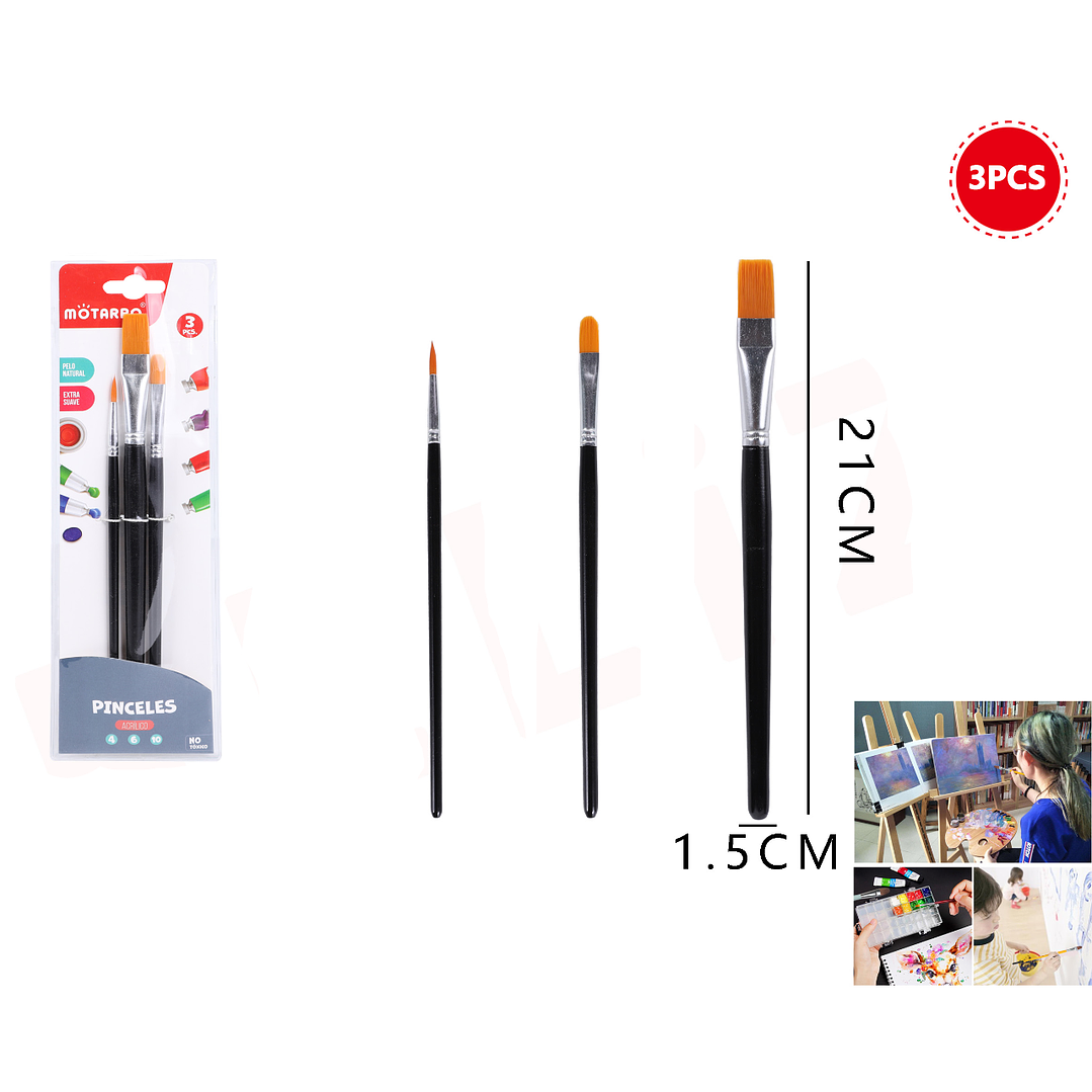 Set De Pinceles 3Pcs 1