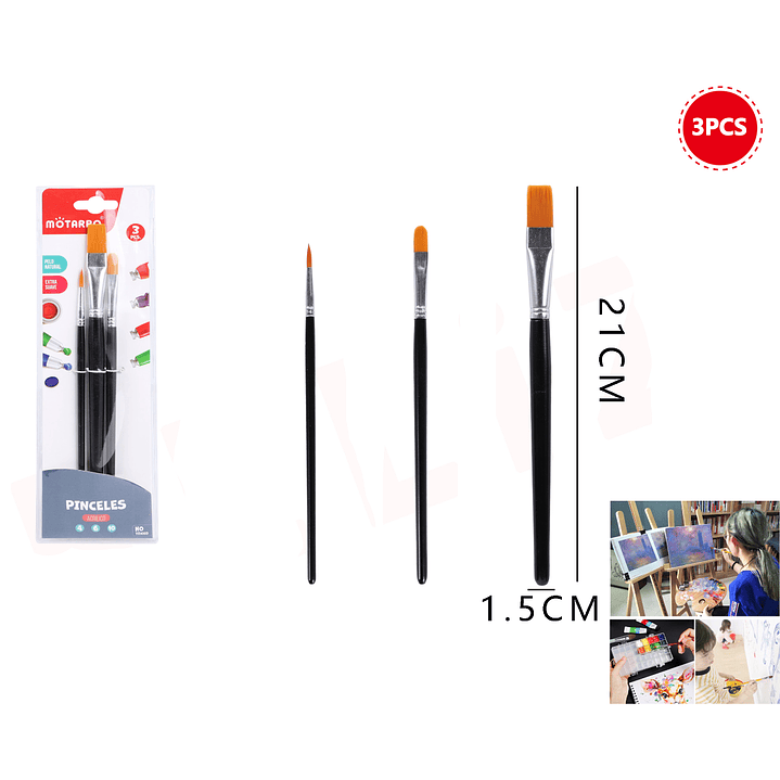 Set De Pinceles 3Pcs 1