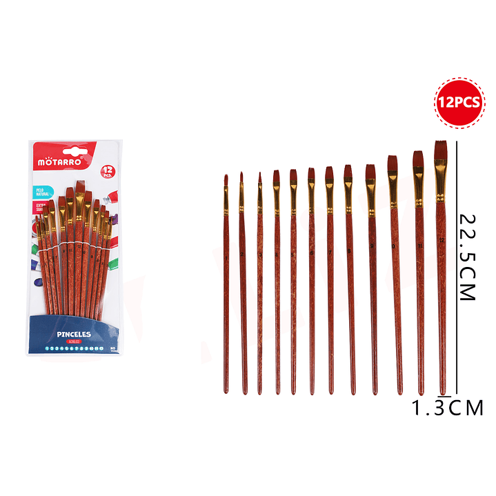 Set De Pinceles Plano 12Pcs 1