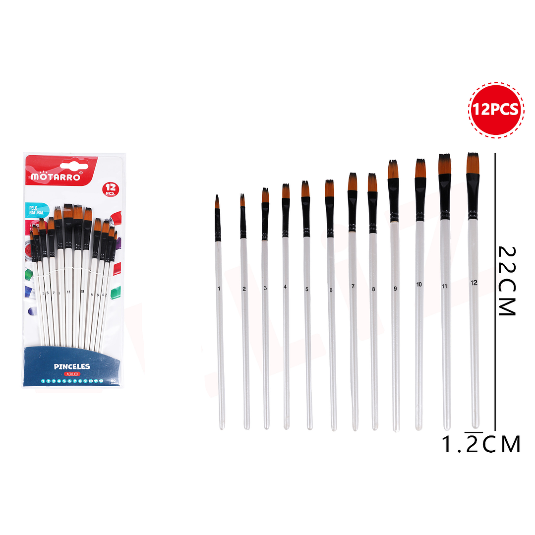 Set De Pinceles Plano 12Pcs 1