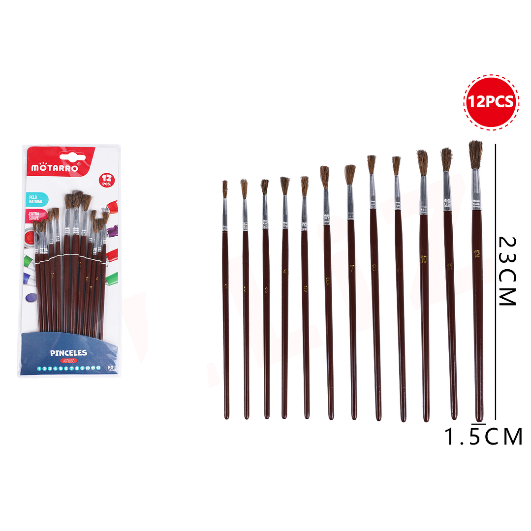 Set De Pinceles Pelo De Caballo 12Pcs 1
