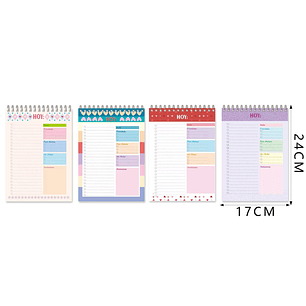 Planner 24x17Cm