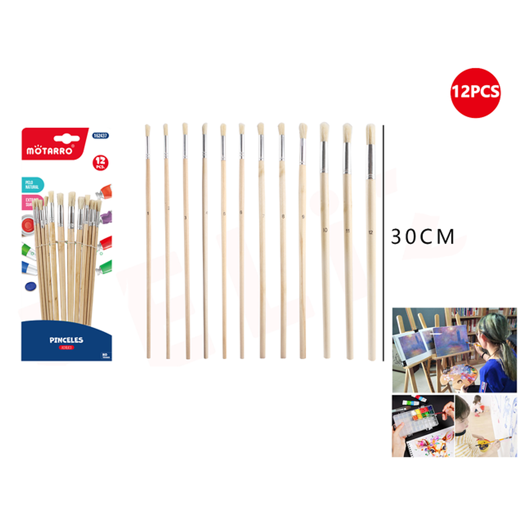 Set De Pinceles Redondo 12Pcs 1