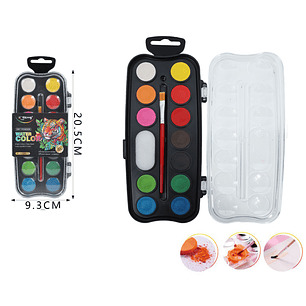 Pinturas Acuarela En Paleta