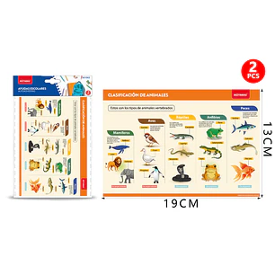 Poster Clasificación De Animales Autoadhesivo 2Pcs 19X13Cm