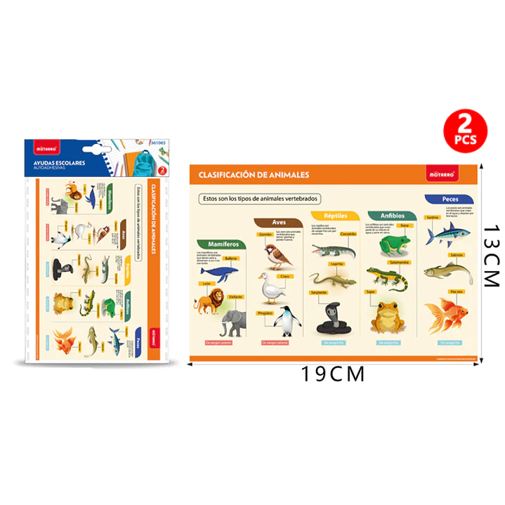 Poster Clasificación De Animales Autoadhesivo 2Pcs 19X13Cm 1