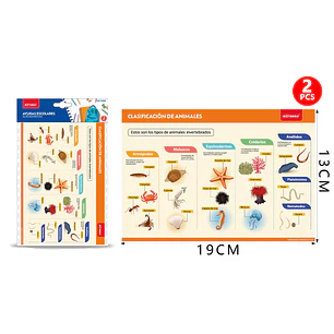 Poster Clasificación de Animales Autoadhesivo 2Pcs 19X13Cm