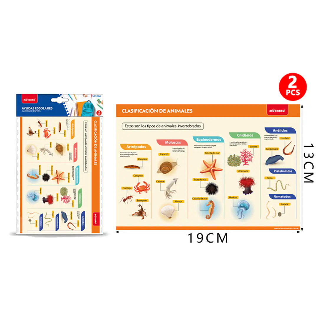 Poster Clasificación de Animales Autoadhesivo 2Pcs 19X13Cm 1