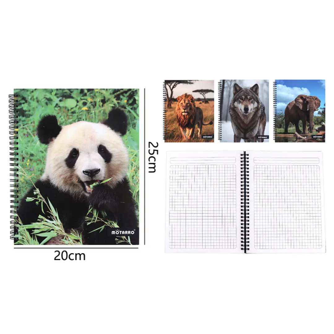 Cuaderno De Nota 25X20Cm 100Hojas 1