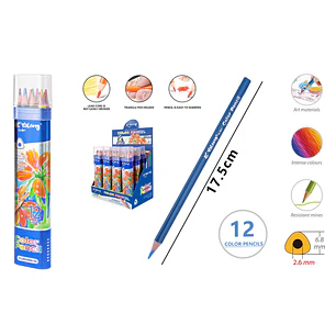 Lapices De Colores 17.5Cm 12 Unidades