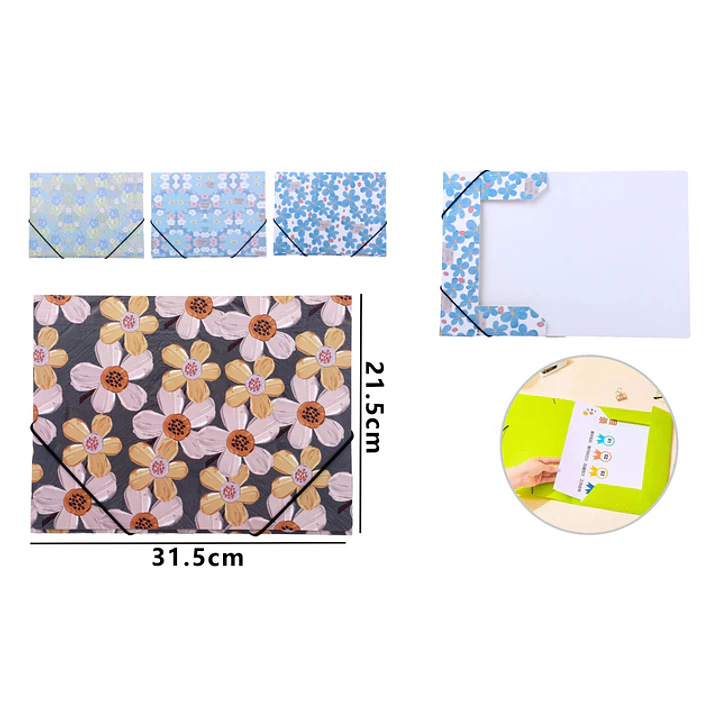 Carpeta Con Elastico A4 1