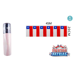 guirnalda bandera fiesta patrias 45mx20cm (P)