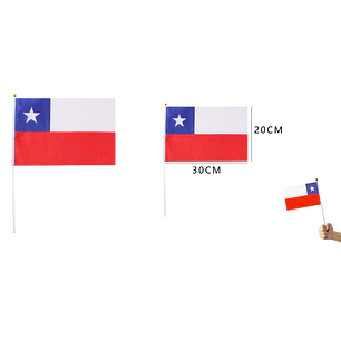 Bandera De Mano 30X20Cm