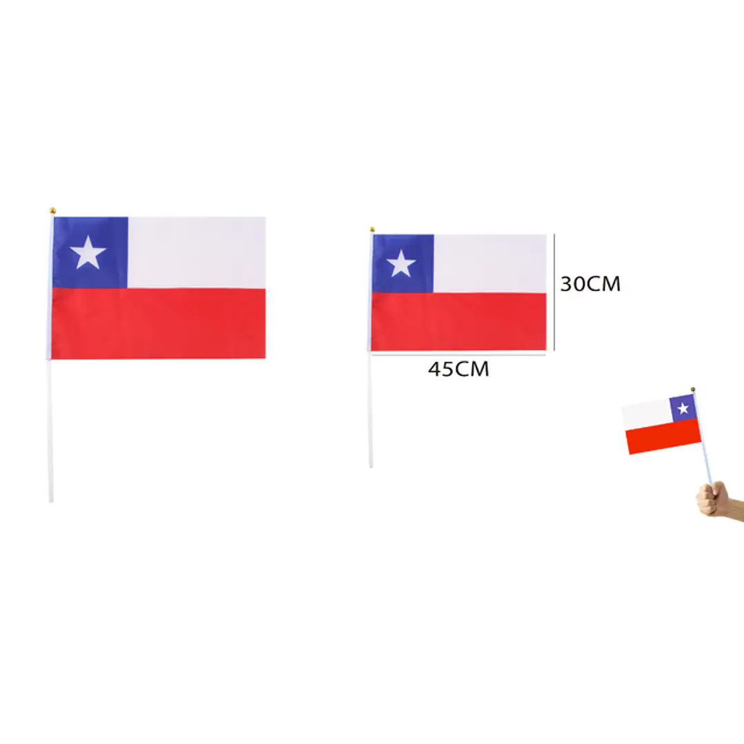 Bandera De Mano 45X30Cm 1