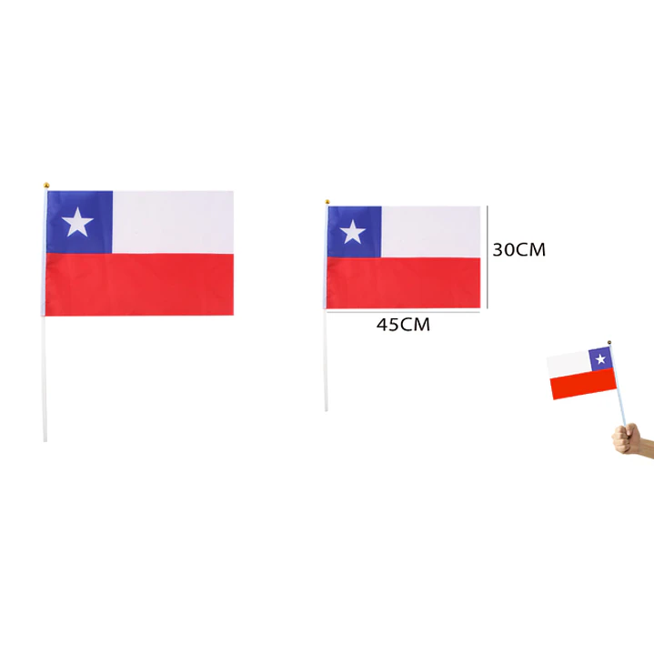 Bandera De Mano 45X30Cm 1