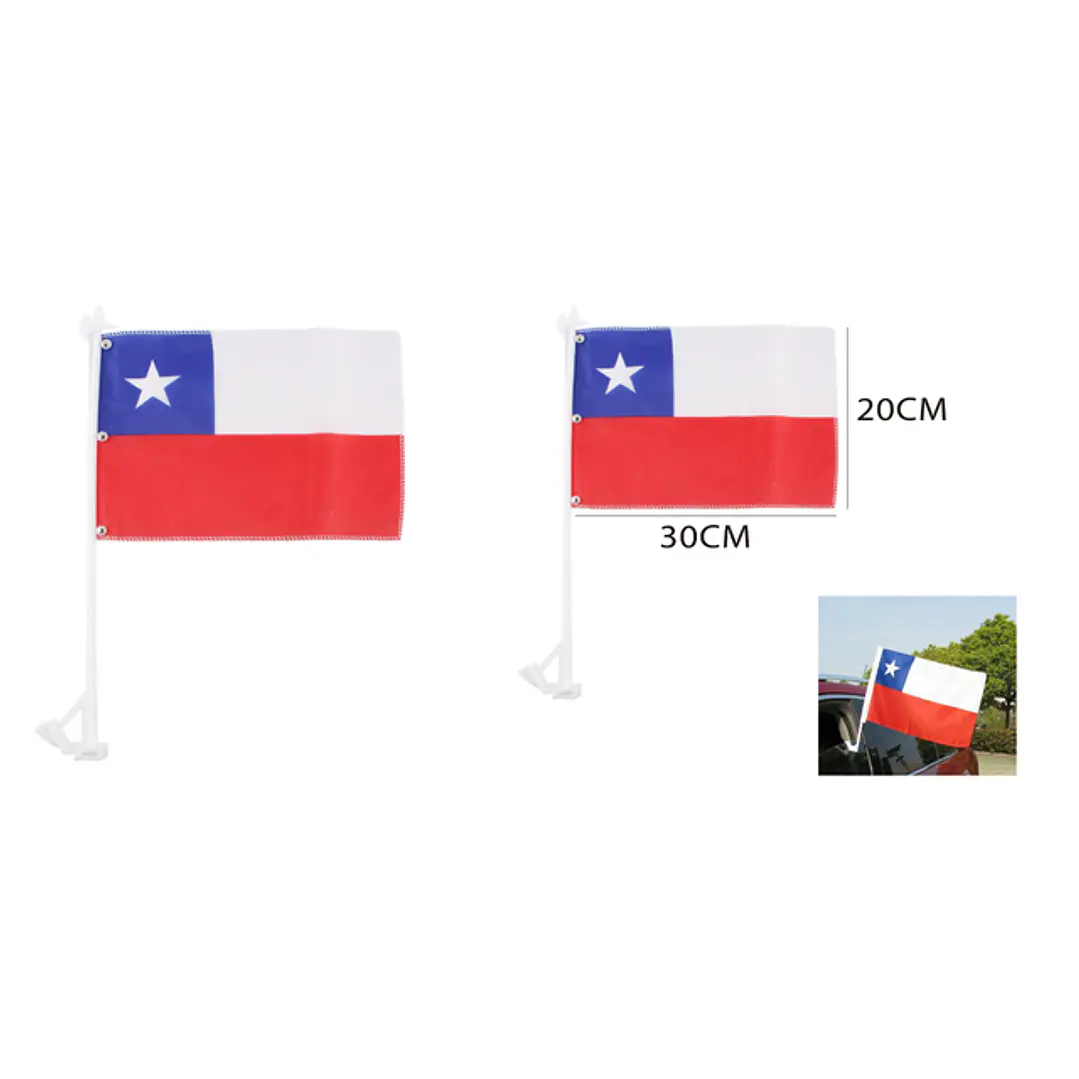 Bandera Para Auto 30X20Cm 1