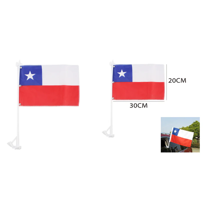 Bandera Para Auto 30X20Cm 1