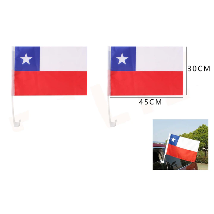 Bandera Para Auto 45X30Cm 1