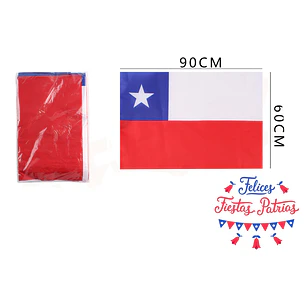 Bandera Chilena 90X60Cm