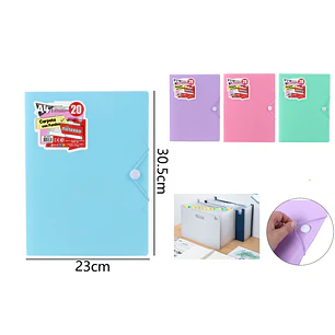 Carpeta Con 20 Fundas 23X30.5Cm A4