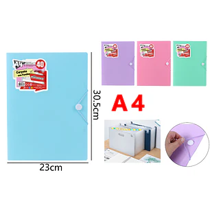 Carpeta Con 40 Fundas 23X30.5Cm A4