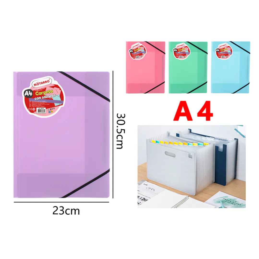Carpeta Con Fundas 30.5X23Cm A4 1
