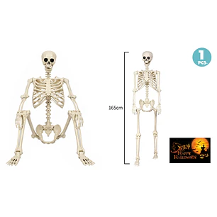 Esqueleto Humano Halloween 165Cm