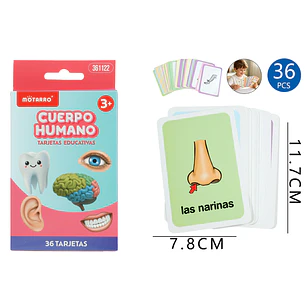 Tarjetas De Aprendizaje Cuerpo Humano 36 Unidades
