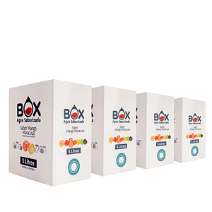 Pack 4 cajas Box de 5 litros Agua Saborizada 