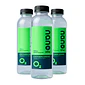 Pack 12 botellas 550 cc Nano+Life