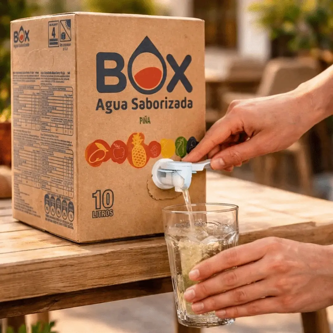 Pack 2 cajas BOX de 10 litros de Agua Saborizada 2