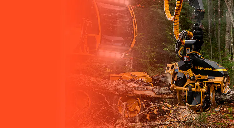 EQUIPOS FORESTAL<br>