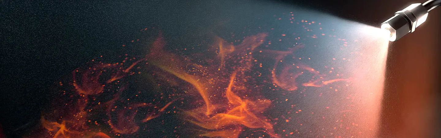 NO SE DEBE PONER EN JUEGO LA SEGURIDAD