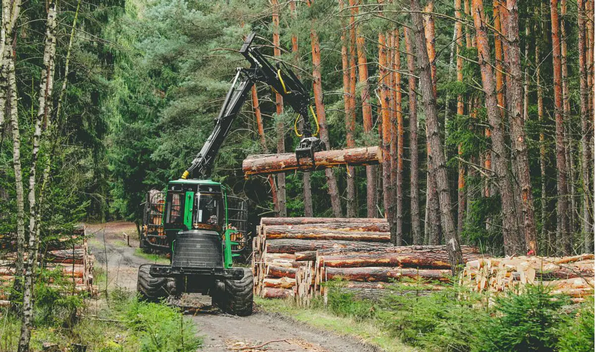 Máquinas Forestal