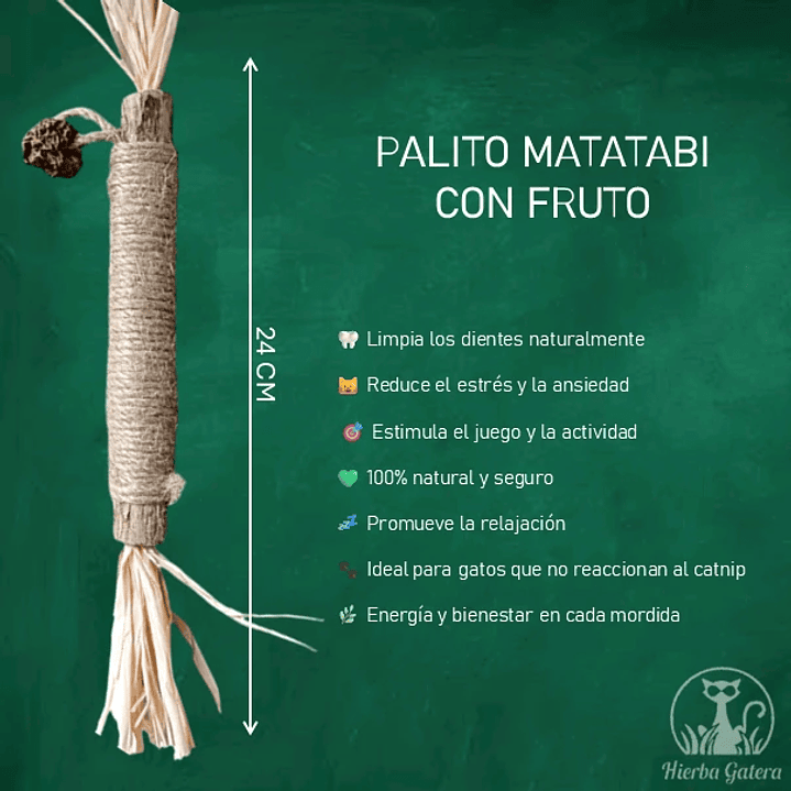 Palito de matatabi con fruto 2