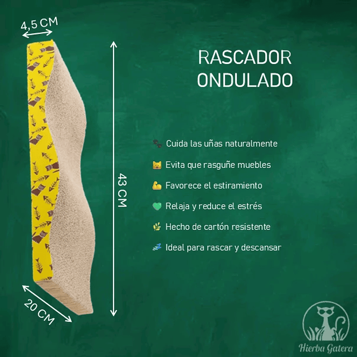 Rascador de cartón Ondulado + REGALO 1gr catnip seco  2