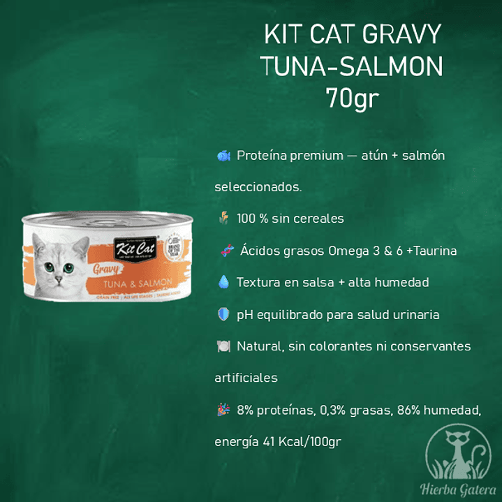Lata KitCat gravy tuna & salmon 2