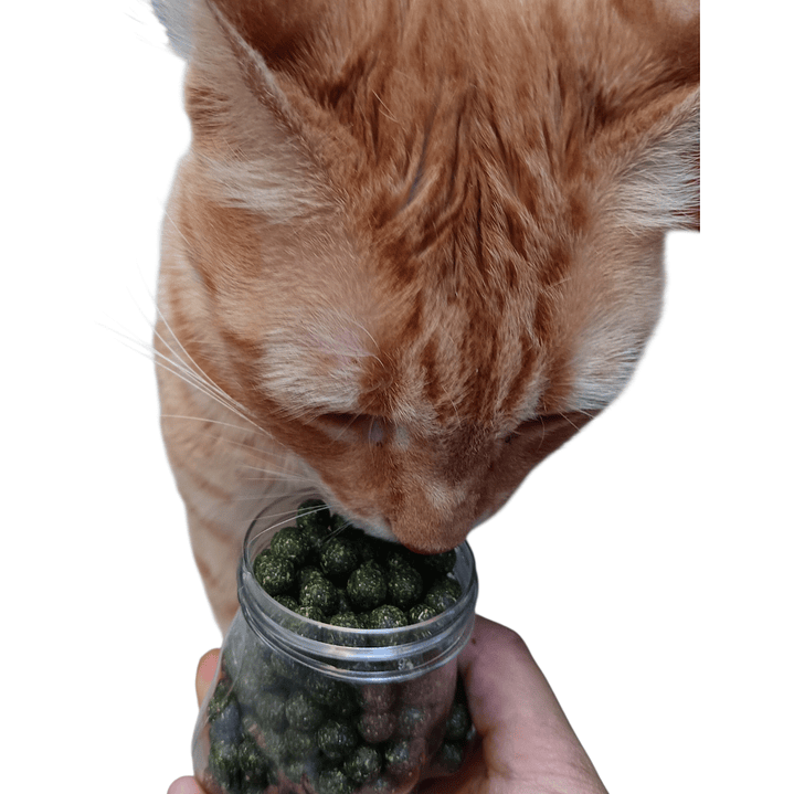 Mini bolitas de catnip 110 gr 2