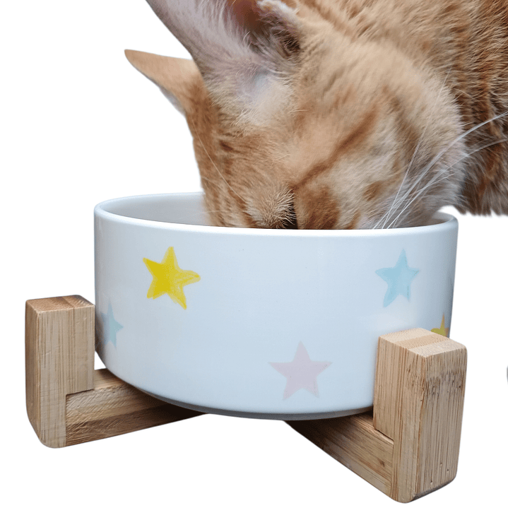 Plato cerámica para mascotas con base de  madera  1