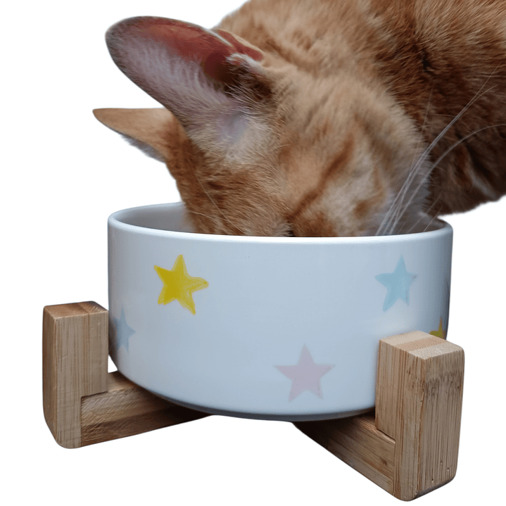 Plato cerámica para mascotas con base de  madera  3