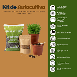 Kit Cultivo Pasto de Trigo (De Hierba Gatera) con Maceteros